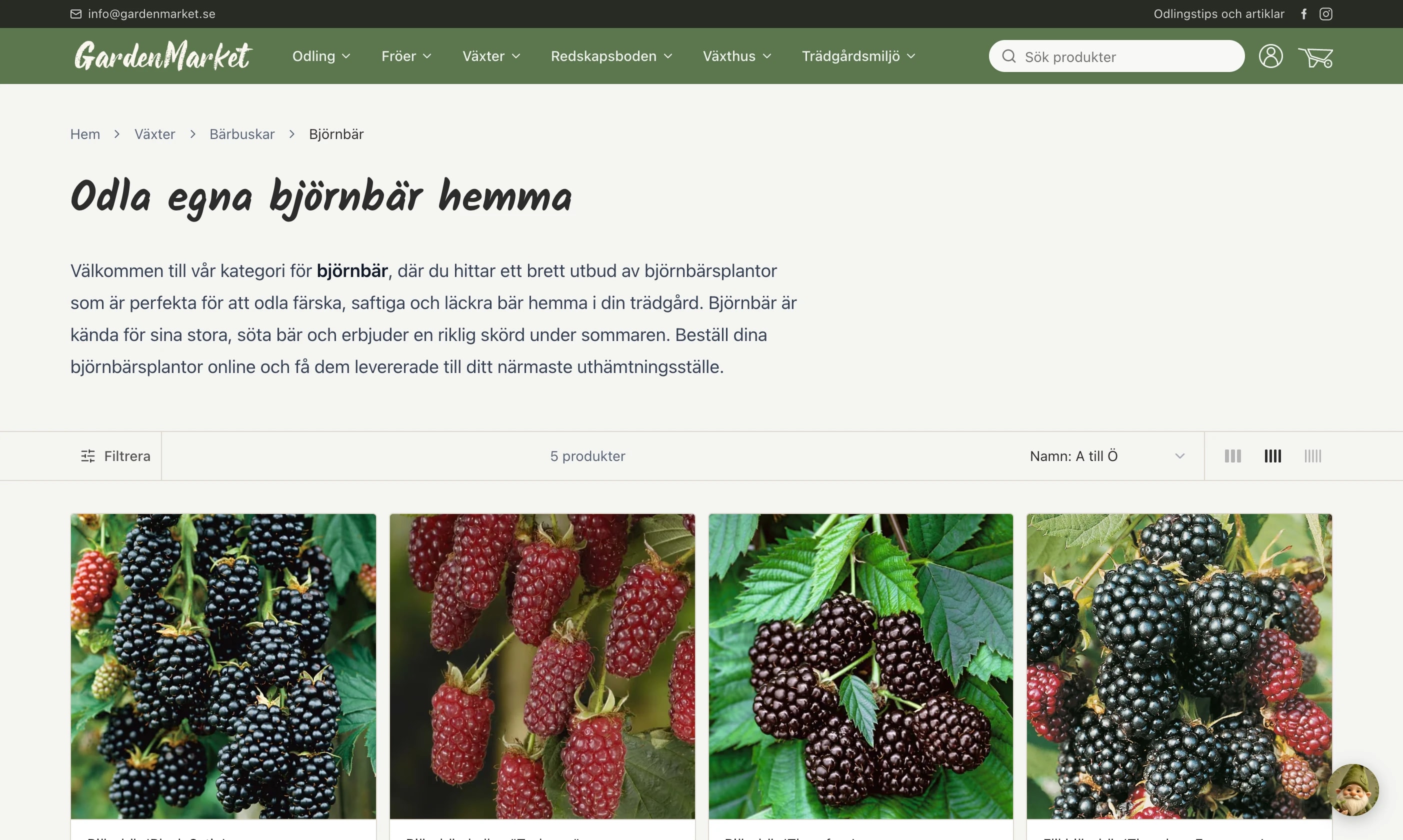 Kategorisidan för björnbär på GardenMarket, med sökvägen Hem, Växter, Bärbuskar, Björnbär
